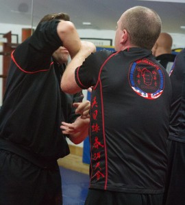 Wing Chun Training T-shirt